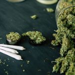 Facts you should know about the CBD treat for dog stress and anxiety